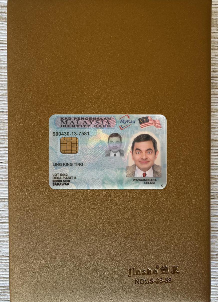 Downloadable Malaysia ID card new version photolook sample